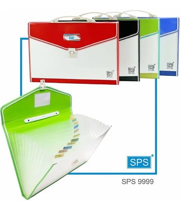 RAVARIYA GRAPHICS 9999 13 Pocket Expanding File Folder with Handle A4/FC Letter Size MULTICOLOUR