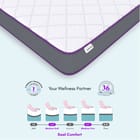 ... ...