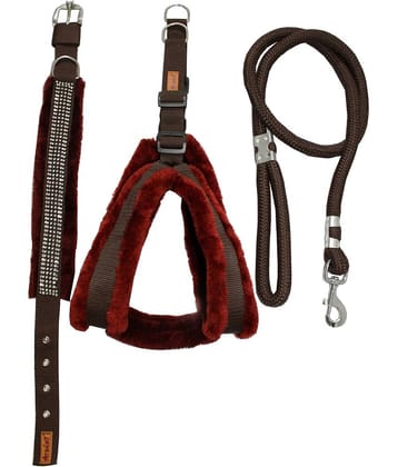 Petshop7 - Brown Dog Combo (Small)