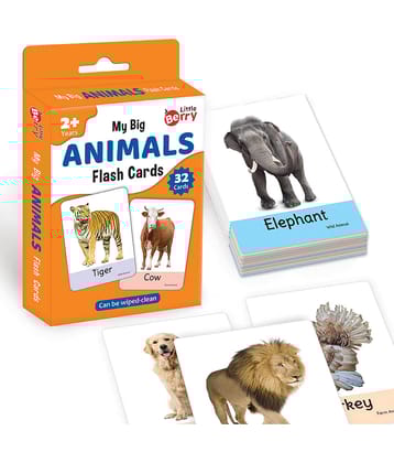 Little Berry Big Flash Cards for Kids: Animals | 32 Double-sided Picture Cards, Durable & Water Resistant | Early Learning and Development Toy for Preschoolers & Toddlers 2-6 Years | Can Be Wiped & Cleaned