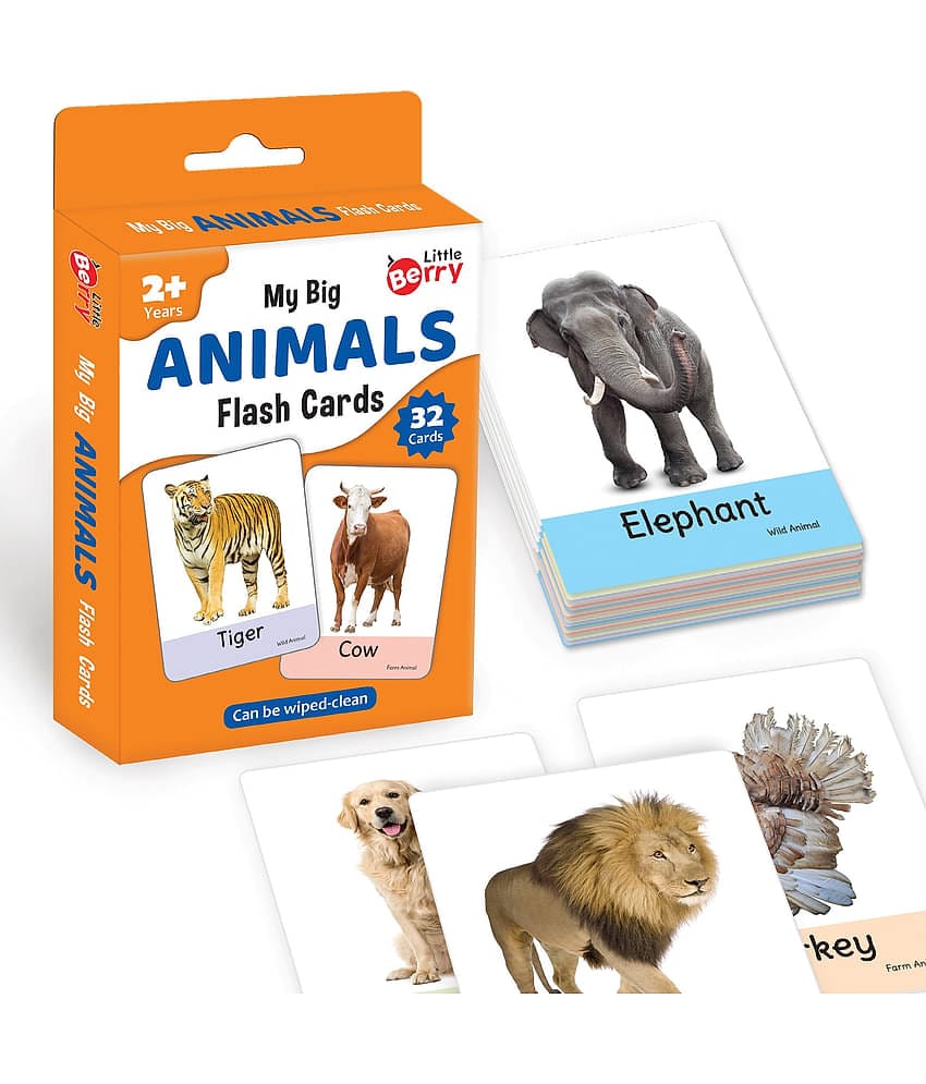 Little Berry Big Flash Cards for Kids: Animals | 32 Double-sided Picture Cards, Durable & Water Resistant | Early Learning and Development Toy for Preschoolers & Toddlers 2-6 Years | Can Be Wiped & Cleaned