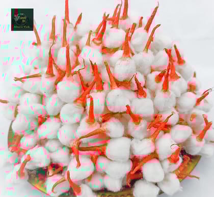 SHAURAYA Creations Diya jyot batti/jot batti 1 pkt