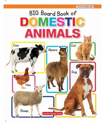 New Big Board Book Of Domestic Animals