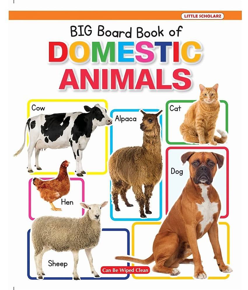 New Big Board Book Of Domestic Animals