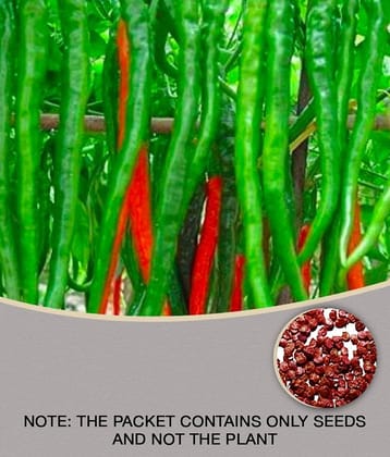 Red Long Chilli Hot and Spicy Red Chili Pepper Seeds 100