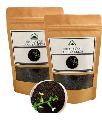 Hillpure Organic Jhakiya Seeds / Wild Mustard 175 gm Pack of 2
