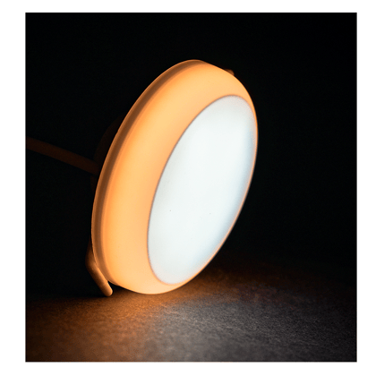 Murphy 12W+12W Twins LED Double Color Concealed+Junction Box Down Light-Cool White+Warm White / Pack of 1