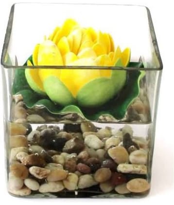 Green plant indoor Lotus Multicolour Flowers With Pot - Pack of 1