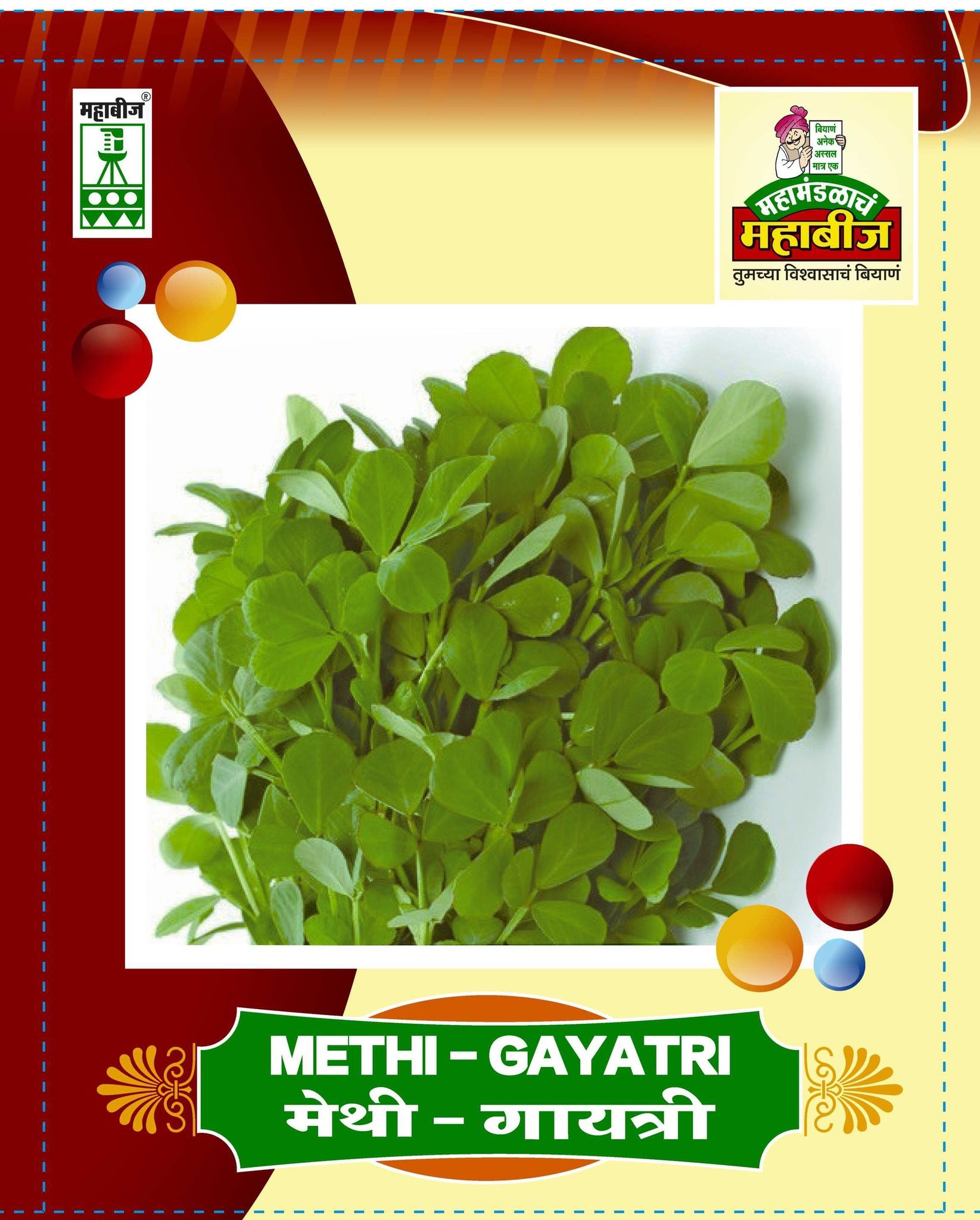 Mahabeej Methi / Methi Gayatri  genetically pure seed 500 gm