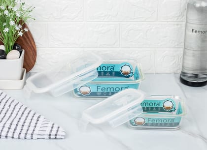 Femora Borosilicate Rectangle Glass Food Storage Container with Air Vent Lid-1000ml,400ml(Set of 2)