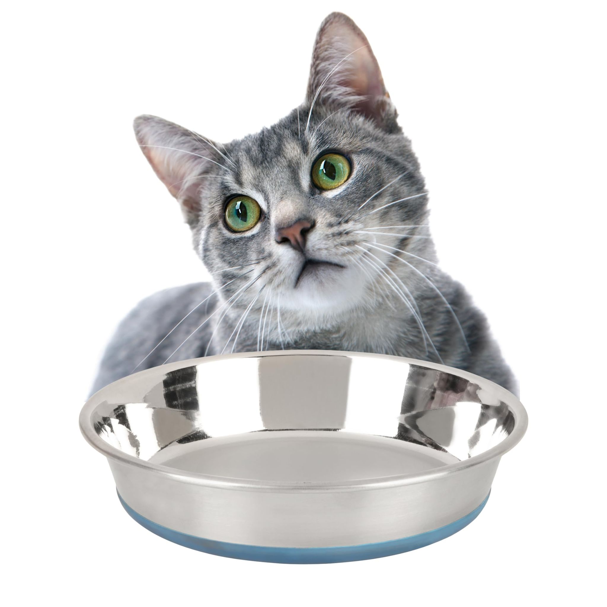 BearHugs Anti Skid Stainless Steel, Durable, Rust Proof & Safe Bowl Perfect for Dog/Cat