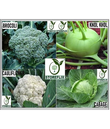 4 TYPE MIX GOBHI FLOWER VEGETABLE KNOL KHOL, CAULIFLOWER, CABBAGE, BROCOLI COMBO MIX PACK 40-40 SEEDS OF EACH ONE WITH USER MANUAL FOR INDOOR AND OUTDOOR HOME GARDENING USE SUPER SAVIOR DEAL