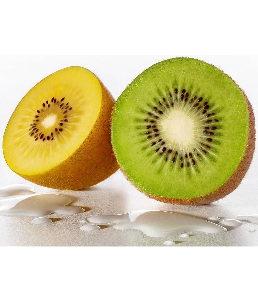 Fruit Combo - Kiwi, Golden Kiwi seeds