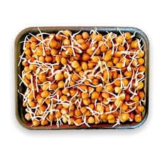 Channa Sprouts - 250 gm