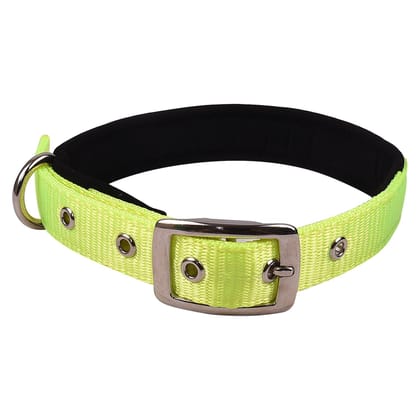 Petz Pure Nylon Padded Collar 3/4 inch Light Green 20mm