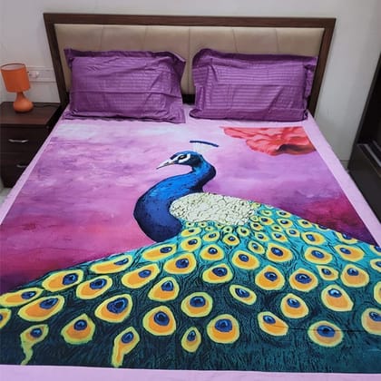 CN01 Peacock_BDSH02