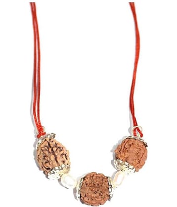 rudradivine Rudraksha Pack of 1