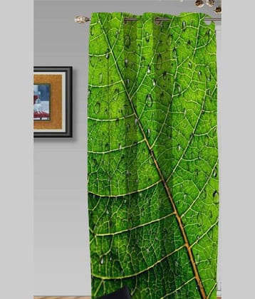 Home Style Single Long Door Eyelet Polyester Curtains Multi Color