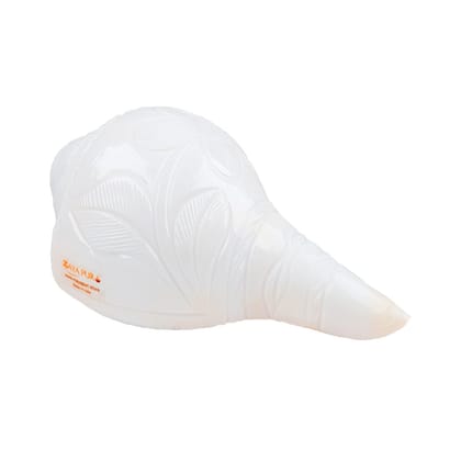 MAYAPURI Vamavarti Engraved Design Loud Blowing Shankh for Pooja Original (White, Weight 250-300g)