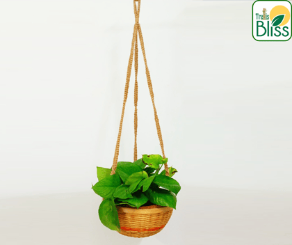Trellis Bliss 10″ Bamboo Hanging Planter (Jute Rope Hanger)