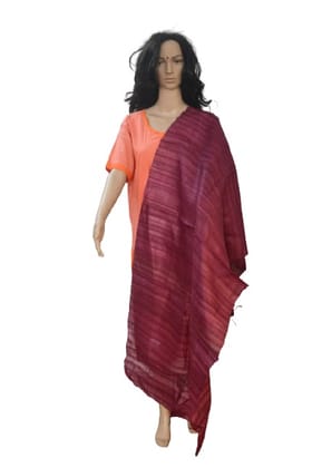 Pure Tussar Gheecha Colour Stole