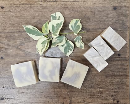 Lavender Soap