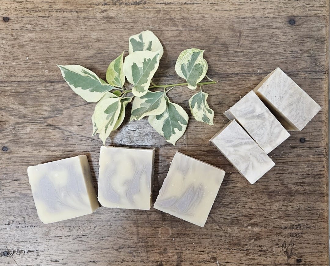 Lavender Soap