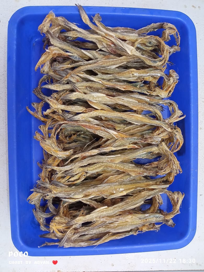 Crazy for Fish Dry Bombay Duck (200g) | Premium Quality Sun-Dried Bombil | Authentic Coastal Delicacy | Ready to Fry or Curry