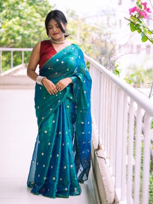 tissue saree