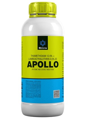 APOOLO | Pack of 10