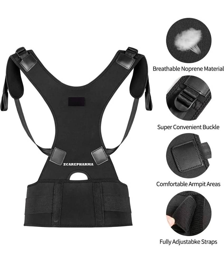 Fitgo Black Back Support ( Pack of 1 )