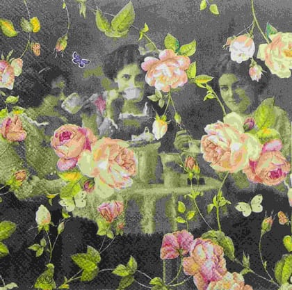 Decoupage Napkin / Tissue papers - GT1764