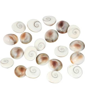 Astrodidi Gomti Chakra 21 Pcs Small Size