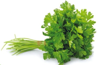 Coriander