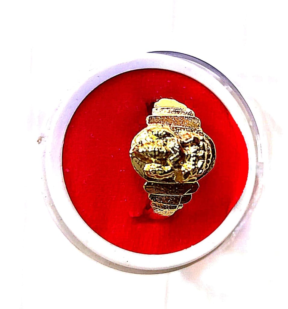 Brand seal
