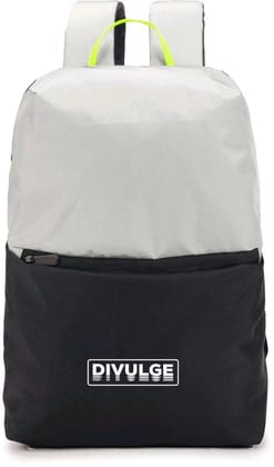 divulge Aura Daypack, Backpack, College bags, Office bags, For Men and Women 18 liters Waterproof Backpack (Silver, 18.1 L)