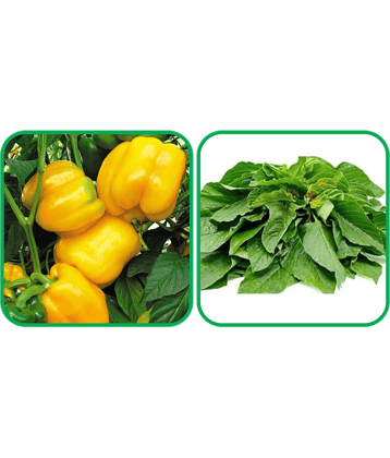 Aero Seeds Green Amaranth ( 200 Seeds) And Capsicum Yellow ( 30 Seeds) Vegetable Seeds Pack