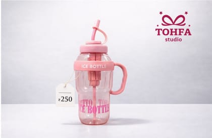 Ice bottle with straw and handle