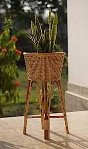 Eco-Friendly Plant Stand for Indoor Plants 
