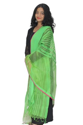 Tisser Maheshwari Silk Dupatta