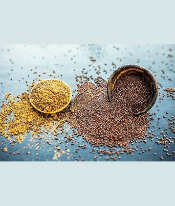 UPPAL SONS SARSON POWDER / BLACK MUSTARD POWDER Powder 500 gm