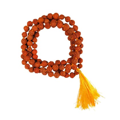 MAYAPURI Authentic Panchamukhi (five-faced) Rudraksha Mala 108 + 1 Small Beads Original for Daily Mantra Jaap, Wear