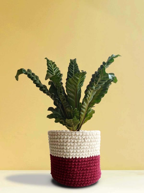 ... ...