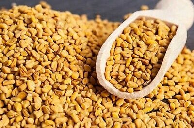 Fenugreek Seed Fenugreek Seed