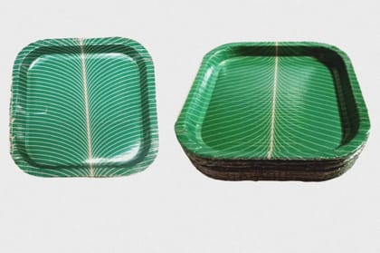 Biodegradable Paper Plates