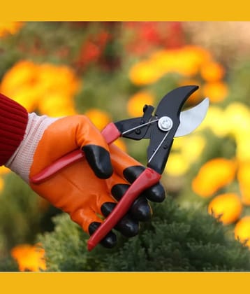 SAS TOOLS Garden Pruner ( Set of 1 )