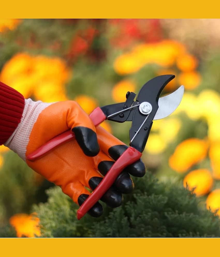 SAS TOOLS Garden Pruner ( Set of 1 )