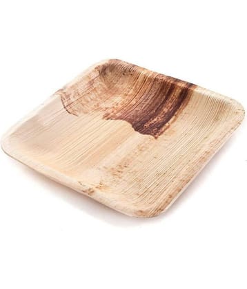 Agri Club Areca Leaves 3x3 Inch Square Deep Disposable Plates (Set of 25)