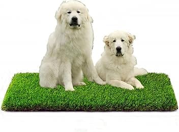 Eurotex 35MM Artificial Grass Carpet Mat for Balcony, Lawn, Door, Soft Comfortable (PE & PP, Natural Green, 1.5x3 Feet)