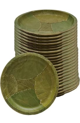 EcoFriendly Paper Plate with Leaf Print